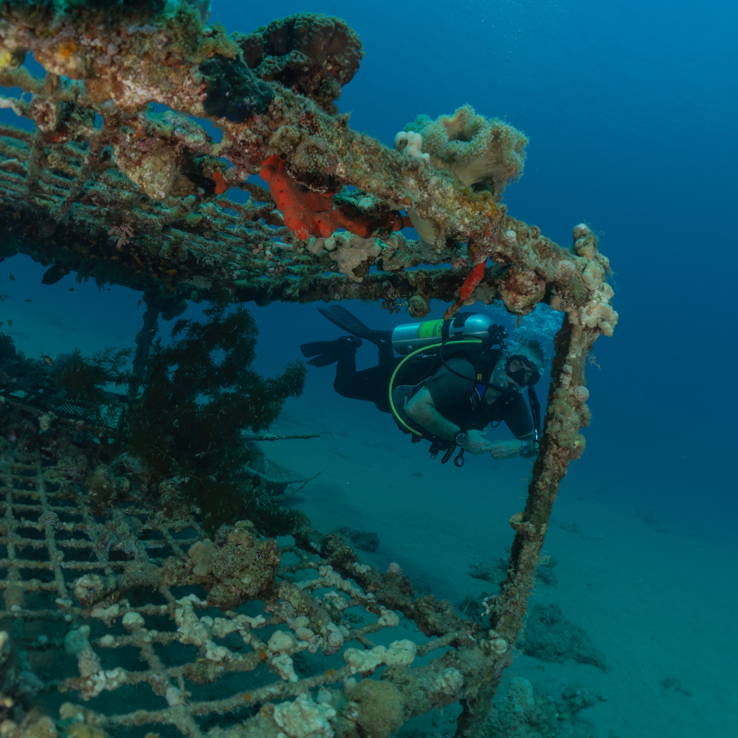 Day 6 – Reef & Wreck Adventure